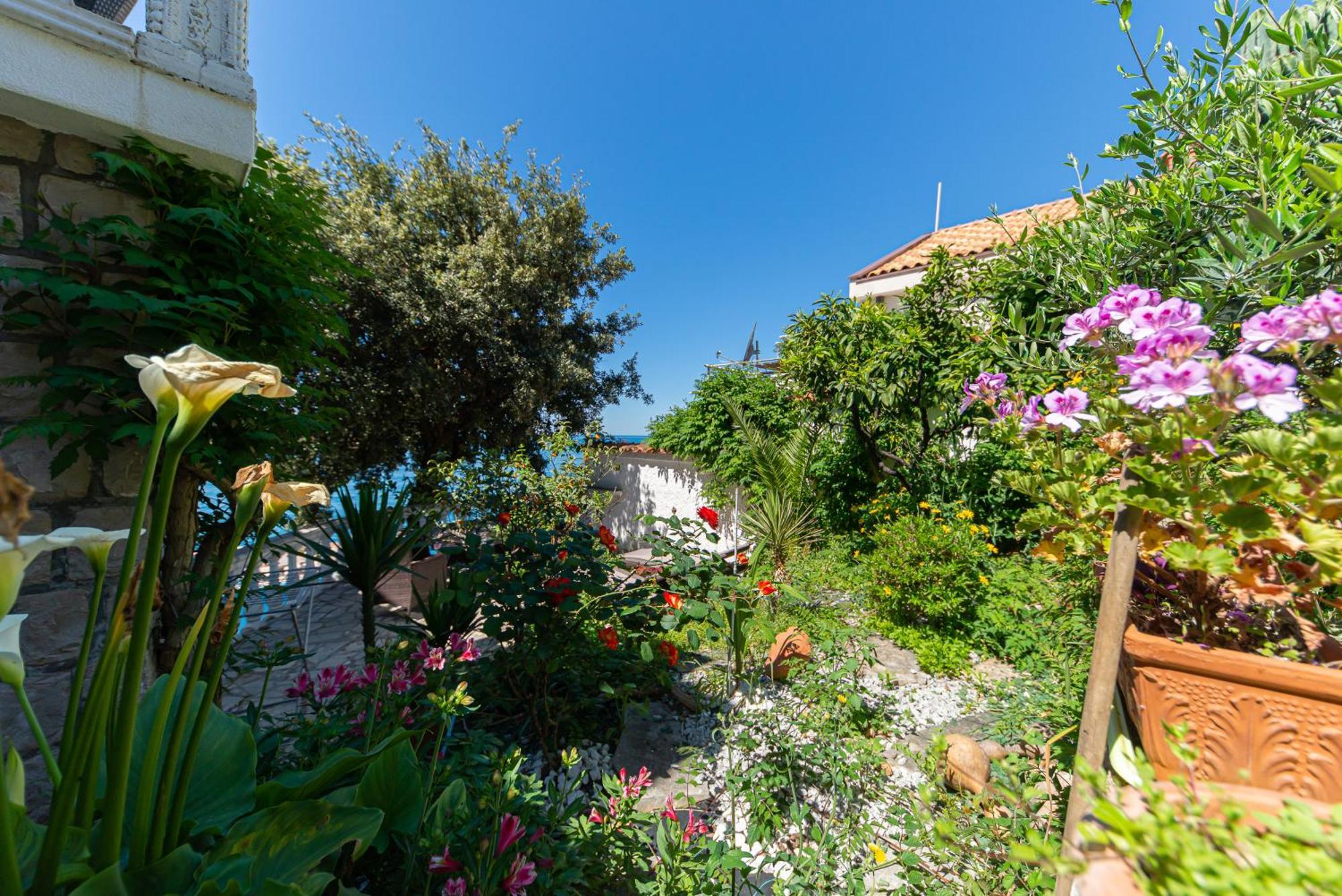 Vila Dora Dobra Voda Extérieur photo